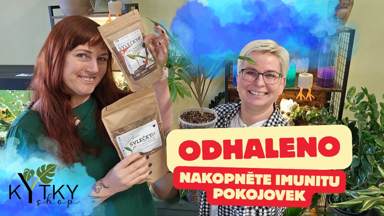 Proč jsou hmyzí svlečky zázrakem pro pokojovky? 3 způsoby, jak je použít pro neprůstřelnou imunitu